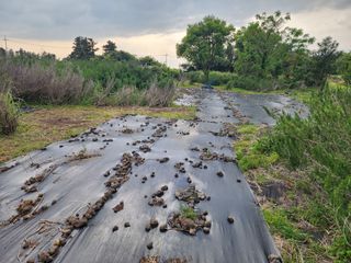 한재범님의 기타작물 · 영농일지 작성글 사진