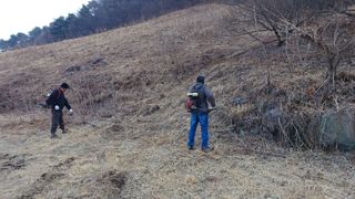 이순기님의 기타작물 · 영농일지 작성글 사진