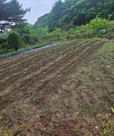 팜모닝 기타작물·영농일지 게시글 이미지