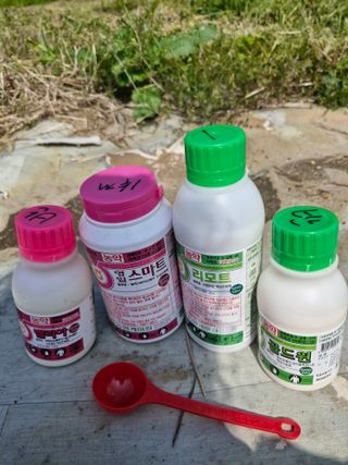 매실향기차향기님의 매실 · 영농일지 작성글 사진