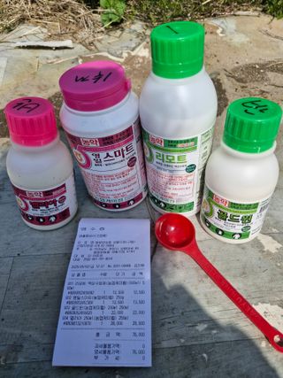 매실향기차향기님의 매실 · 영농일지 작성글 사진