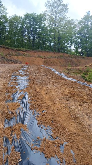 박준권님의 기타작물 · 영농일지 작성글 사진