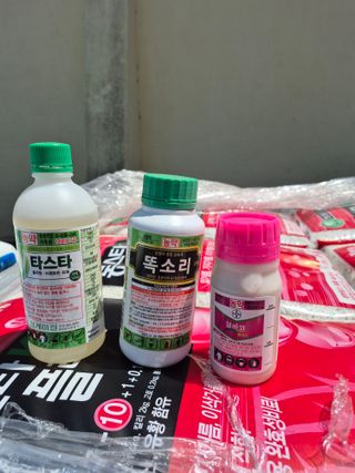 코지팜스테이님의 기타작물 · 영농일지 작성글 사진