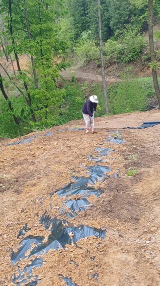 박준권님의 기타작물 · 영농일지 작성글 사진