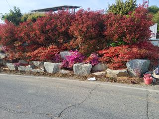 정해원.님의 기타작물 · 영농일지 작성글 사진