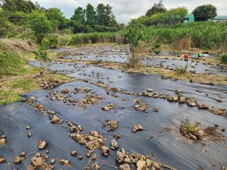 한재범님의 기타작물 · 영농일지 작성글 사진