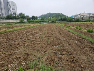 우경원님의 기타작물 · 영농일지 작성글 사진