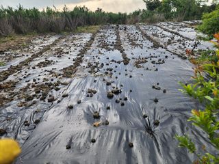 한재범님의 기타작물 · 영농일지 작성글 사진