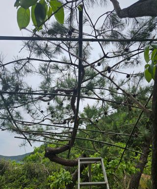 멧돼지님의 기타작물 · 영농일지 작성글 사진