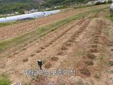 팜모닝 기타작물·영농일지 게시글 이미지