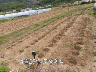 신종균님의 기타작물 · 영농일지 작성글 사진