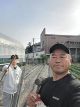 팜모닝 고추·영농일지 게시글 이미지