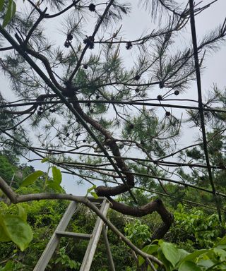 멧돼지님의 기타작물 · 영농일지 작성글 사진