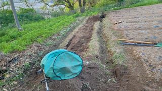 서초농원님의 기타작물 · 영농일지 작성글 사진