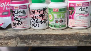 전진원님의 포도 · 영농일지 작성글 사진