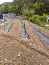 팜모닝 기타작물·영농일지 게시글 이미지