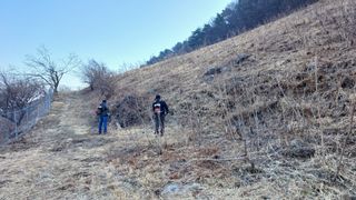 이순기님의 기타작물 · 영농일지 작성글 사진