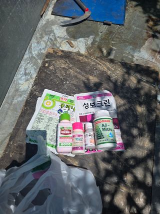 신현오님의 복숭아 · 영농일지 작성글 사진