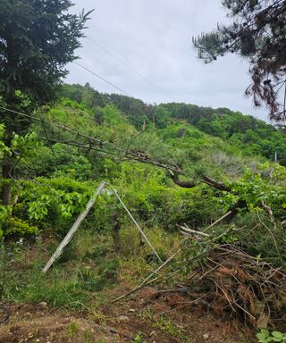 멧돼지님의 기타작물 · 영농일지 작성글 사진