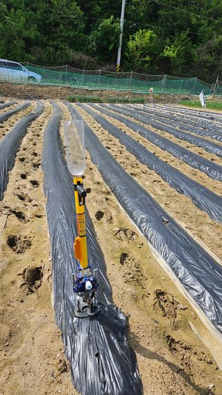 이순정님의 참깨 · 영농일지 작성글 사진