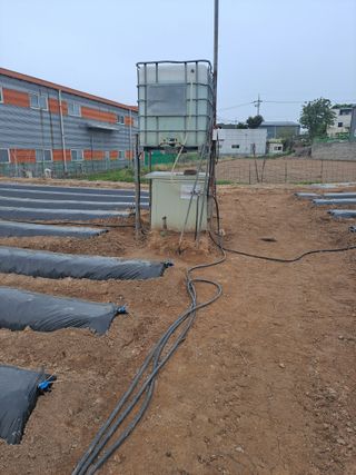 구본명님의 참깨 · 영농일지 작성글 사진