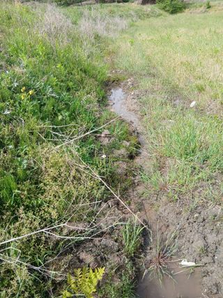 무료지식나눔 팜닥터님의 기타작물 · 영농일지 작성글 사진