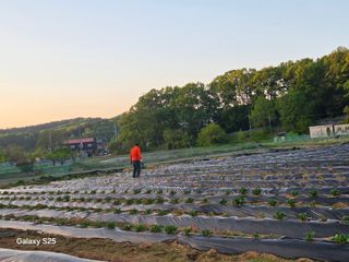 류승원님의 기타작물 · 영농일지 작성글 사진