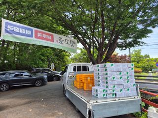 늘햇살팜 님의 호박 · 영농일지 작성글 사진