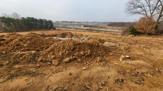 김나라님의 고구마 · 영농일지 작성글 사진