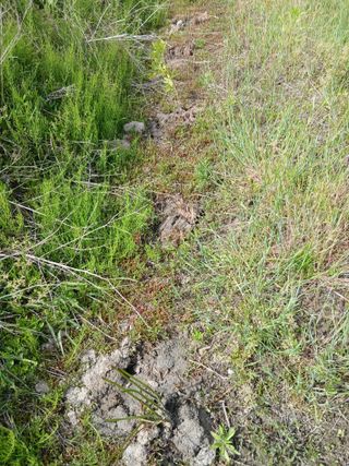 무료지식나눔 팜닥터님의 기타작물 · 영농일지 작성글 사진