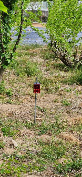 최군환님의 기타작물 · 영농일지 작성글 사진