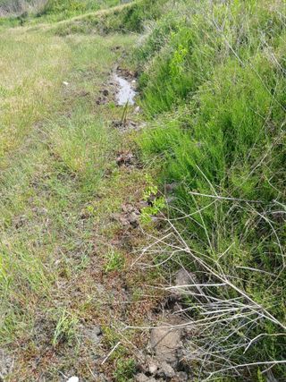 무료지식나눔 팜닥터님의 기타작물 · 영농일지 작성글 사진