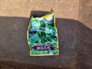 전찬우님의 참깨 · 영농일지 작성글 사진