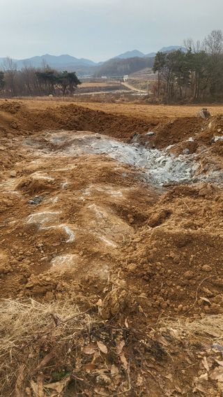 김나라님의 고구마 · 영농일지 작성글 사진