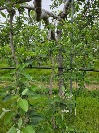 최승국님의 기타작물 · 영농일지 작성글 사진