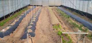 이남수진천님의 콩 · 영농일지 작성글 사진