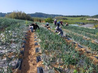 정해원.님의 기타작물 · 영농일지 작성글 사진