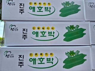 늘햇살팜 님의 호박 · 영농일지 작성글 사진