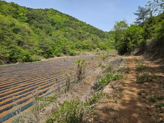 김주희님의 고추 · 영농일지 작성글 사진