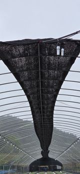 팜모닝 들깨·영농일지 게시글 이미지