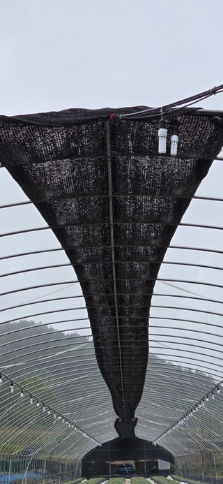 김승기님의 들깨 · 영농일지 작성글 사진