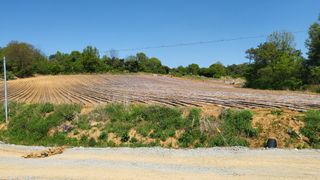 김나라님의 고구마 · 영농일지 작성글 사진