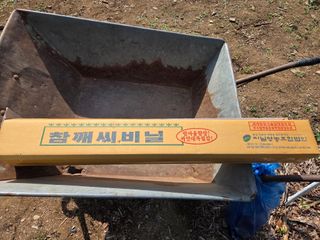 전찬우님의 참깨 · 영농일지 작성글 사진