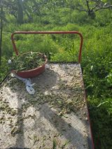 팜모닝 복숭아·영농일지 게시글 이미지