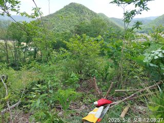 유병욱님의 두릅 · 영농일지 작성글 사진