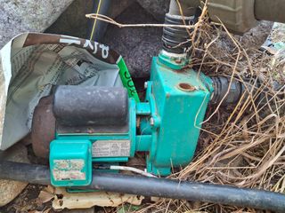 황인근님의 블루베리 · 영농일지 작성글 사진