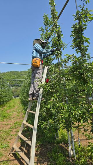 최해목님의 기타작물 · 영농일지 작성글 사진