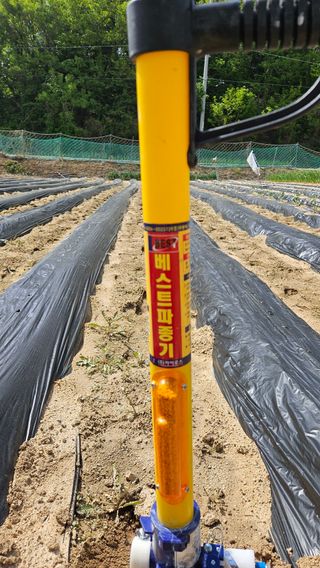 이순정님의 참깨 · 영농일지 작성글 사진