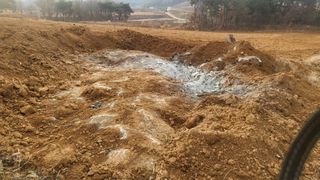 김나라님의 고구마 · 영농일지 작성글 사진