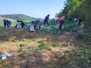 정해원.님의 기타작물 · 영농일지 작성글 사진